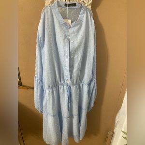 Popcorn Swiss Dot long sleeve Dress